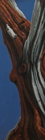 Grand Dame Of Helliwell - 12"x23" acrylic on canvas